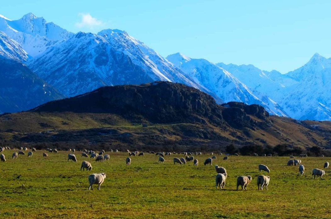 KNJIŽNICA NIKOLA ZRINSKI Anamarija i Luciano – novi zeland