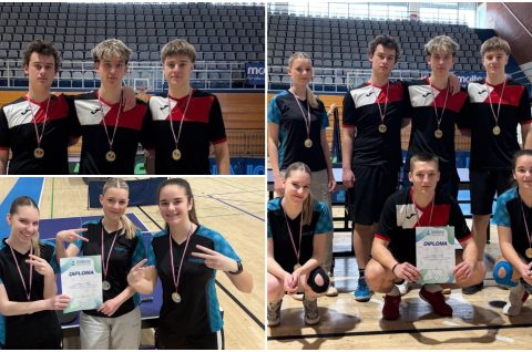 Srednja škola Čakovec stolni tenis Srednja škola Čakovec stolni tenis