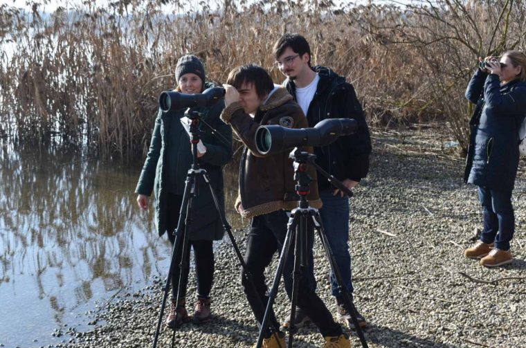 Prelog promatranje ptica