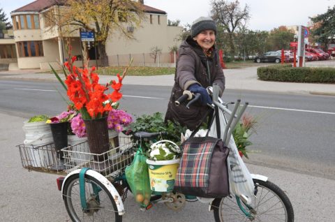 Zlatka Jambrović (2)