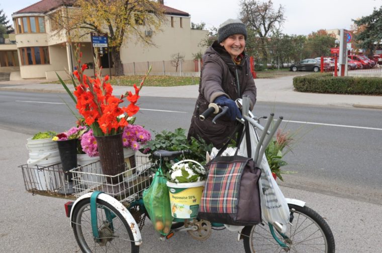 Zlatka Jambrović (2)