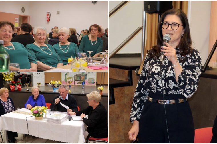 Udruga umirovljenika Mihovljan (5)