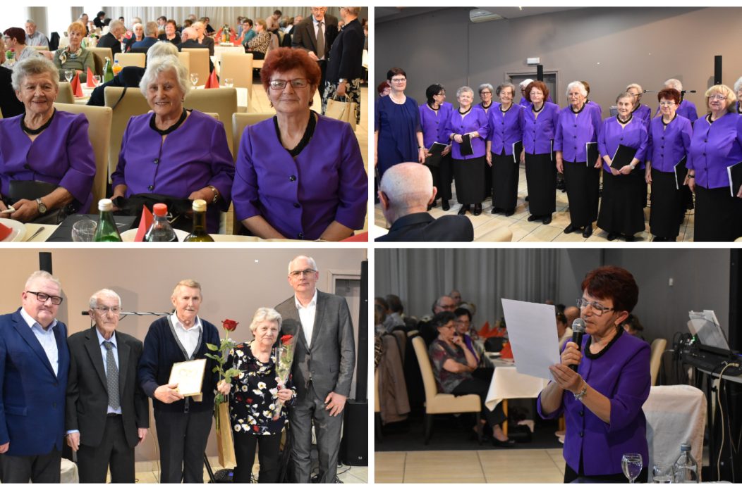 Udruga umirovljenika grada Preloga izborna skupština TK (35)