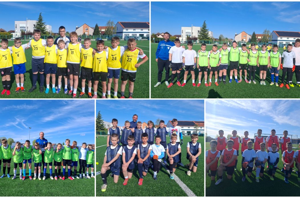 MNS U PRELOGU MNS U PRELOGU