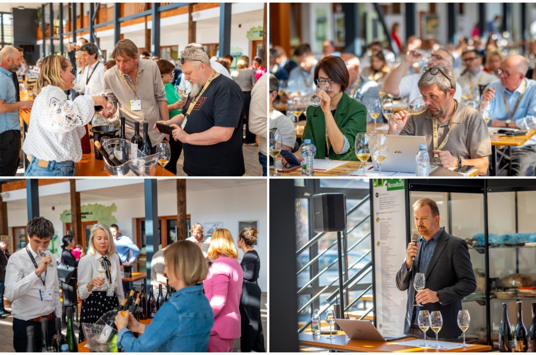 TZMŽ – Terca art – vino Međimurje (13) TZMŽ – Terca art – vino Međimurje (13)