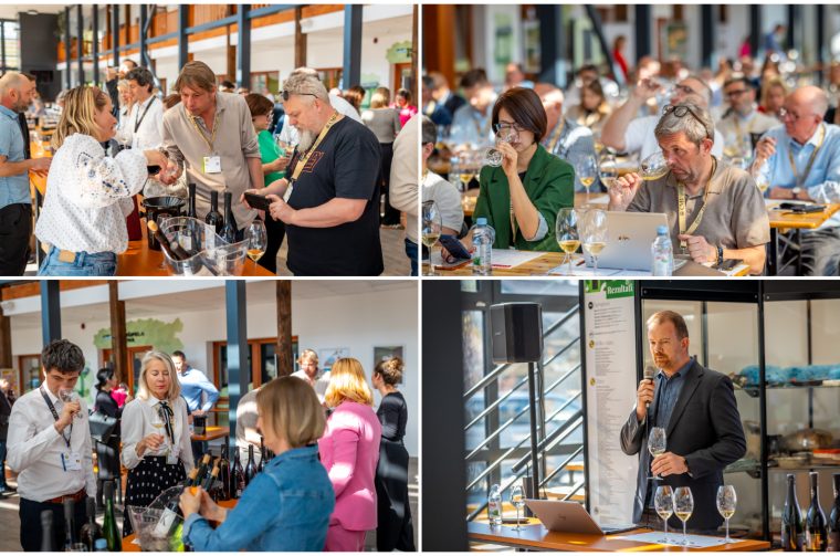 TZMŽ – Terca art – vino Međimurje (13) TZMŽ – Terca art – vino Međimurje (13)