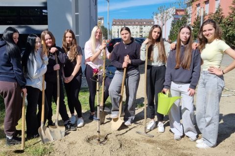 Gospodarska škola Čakovec