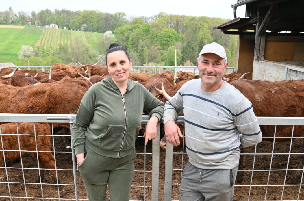 LESKOVEC Grubići (9)