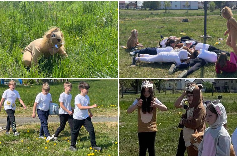 OSNOVNA ŠKOLA PODTUREN PŠ Sivica (3)