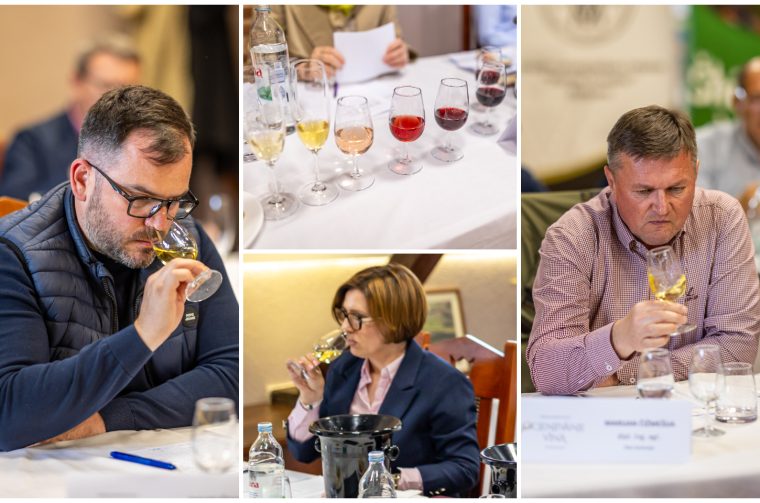 Međ. ocjenjivanje vina 6