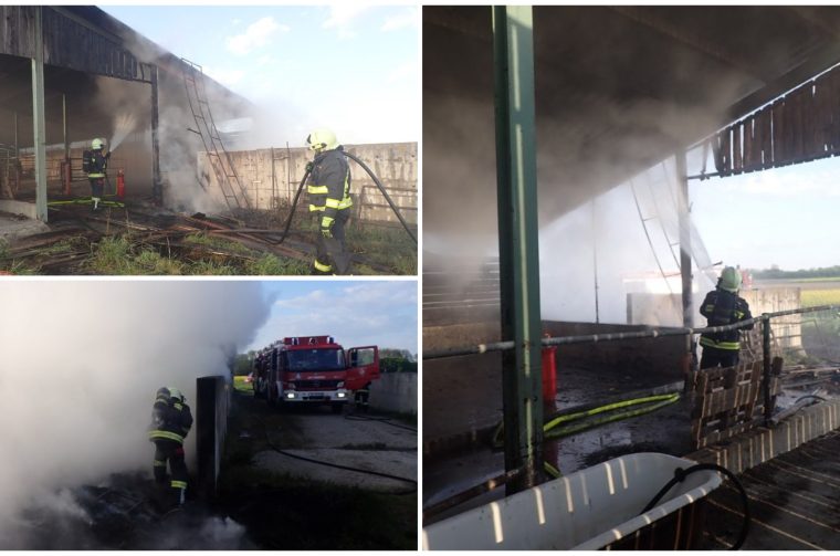 Požar Domašinec farma (1)