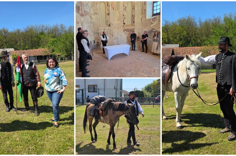 Konjanici Mađarska konj konji (48)