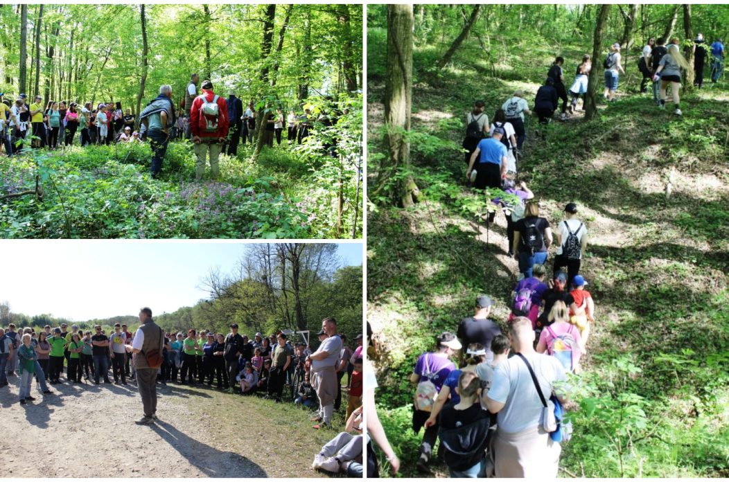 Feštetićeve staze – Brezje šuma šetnja (25)