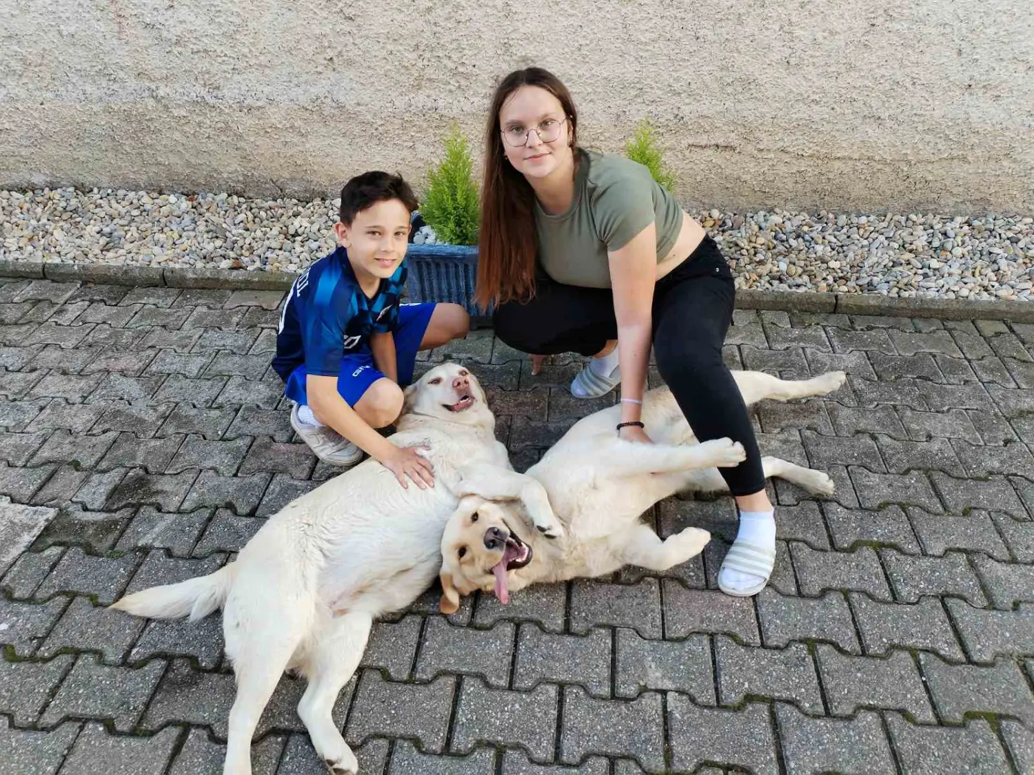 Fran Marković (4) Fran Marković (4)