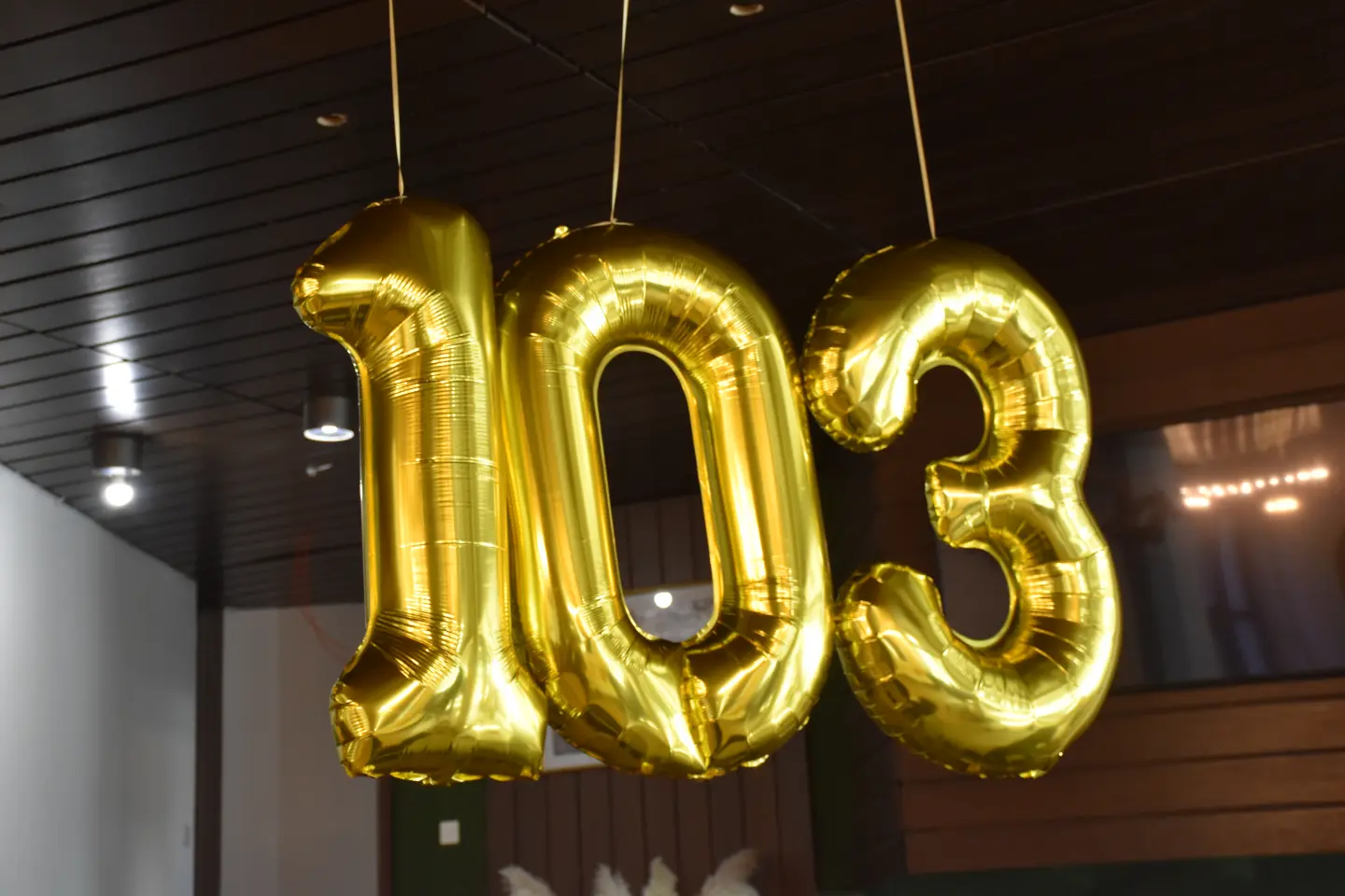 Franjo Karlovčec, 103. rođendan, Dom za starije, Zaveščak, Selnica (10)