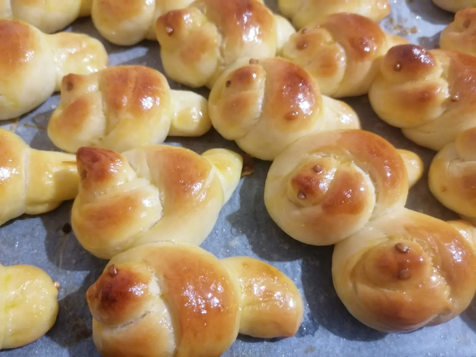 Ftičeki se ženiju (10)