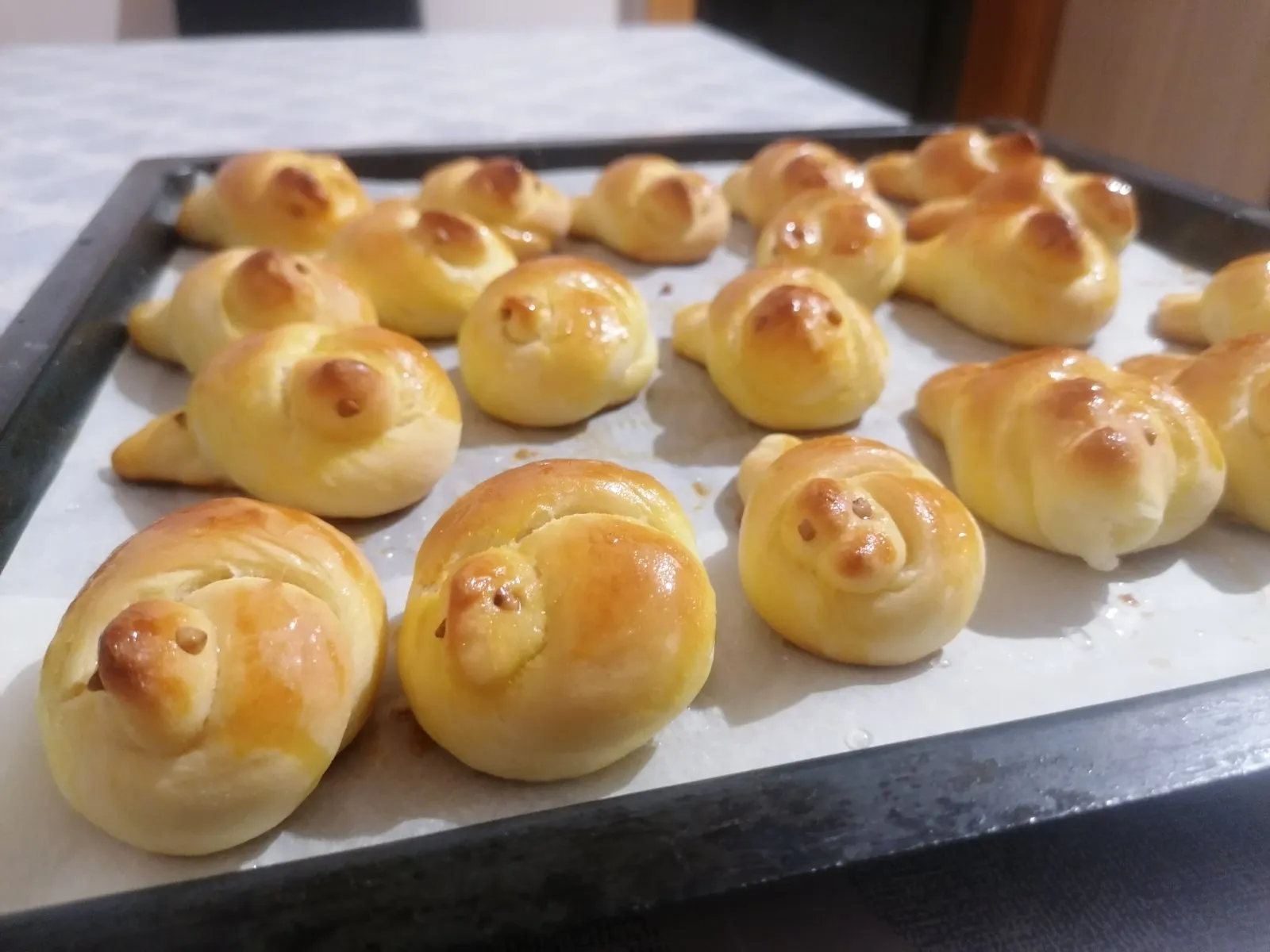 Ftičeki se ženiju (12)