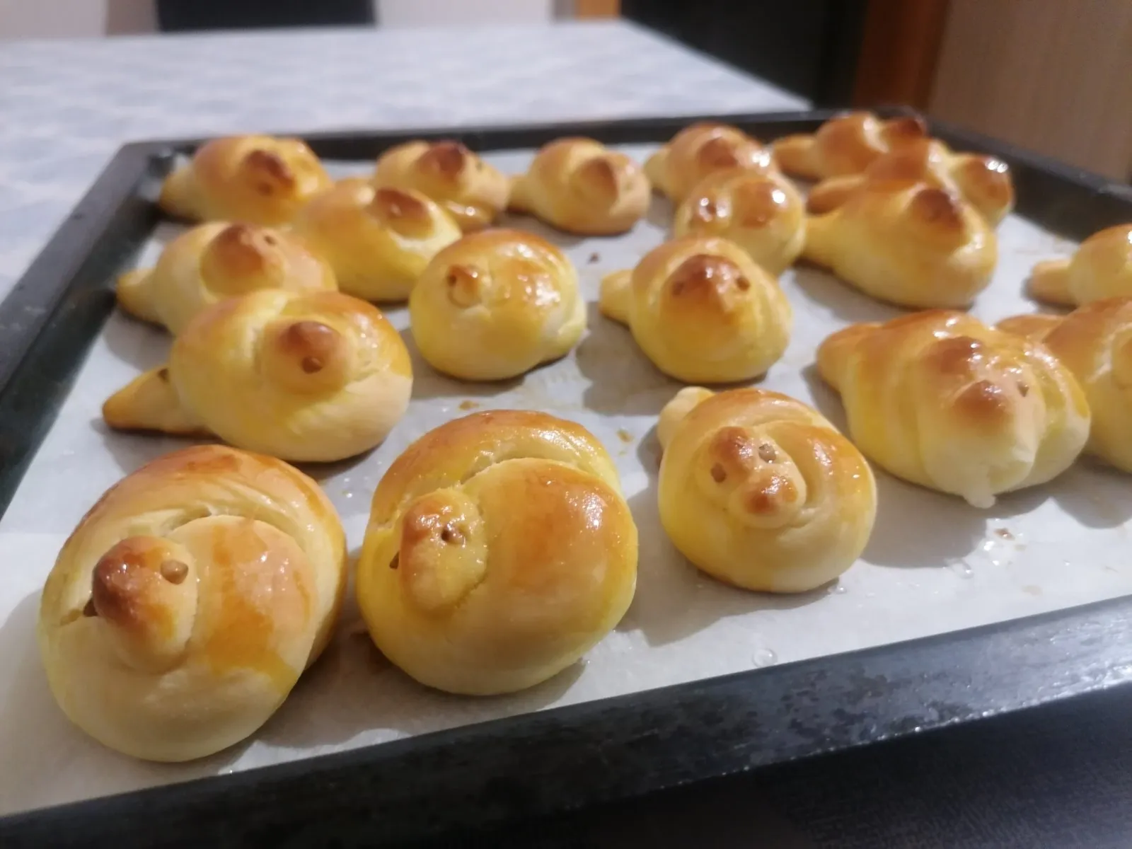 Ftičeki se ženiju (13)