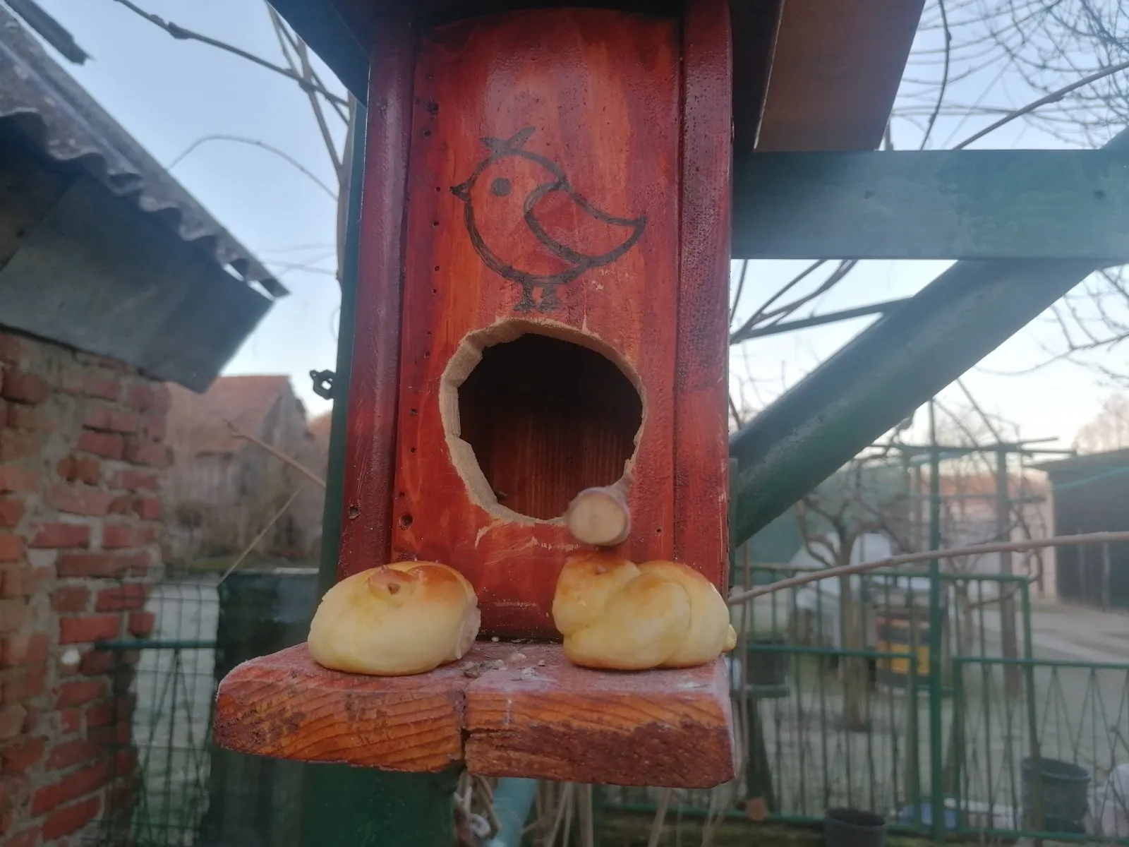 Ftičeki se ženiju (8)