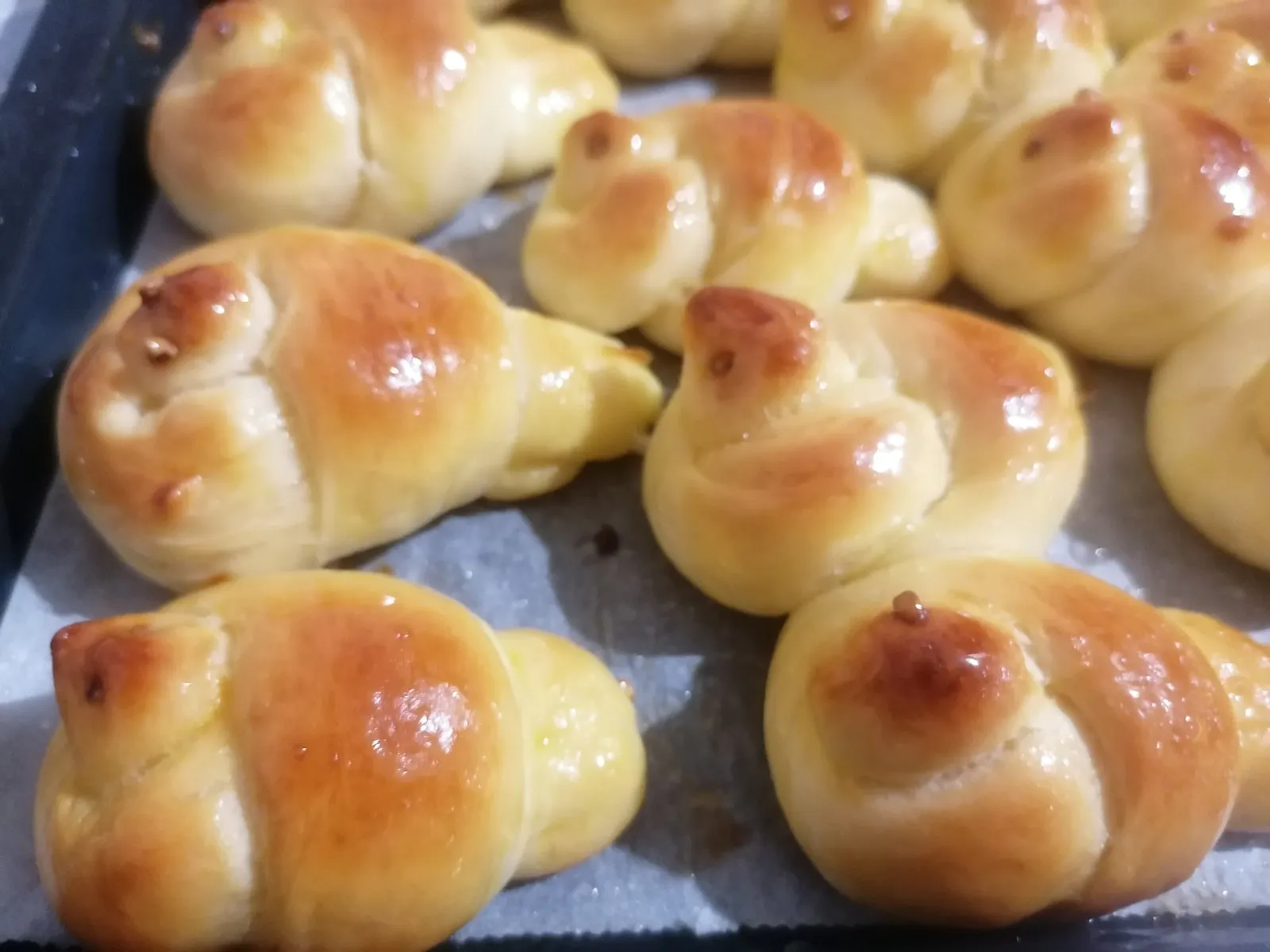 Ftičeki se ženiju (9)