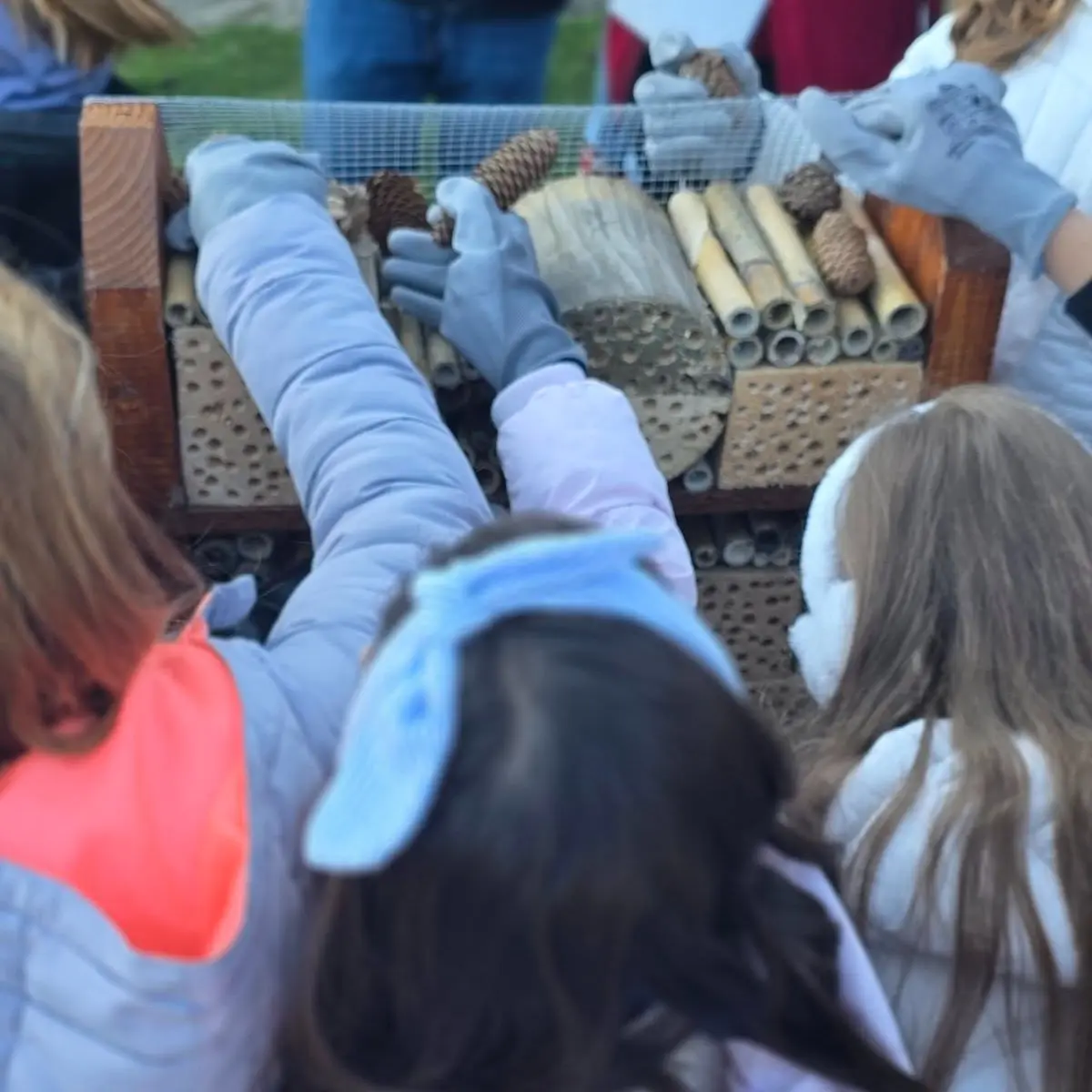 GDCK OŠ Petar Zrinski Šenkovec (1)