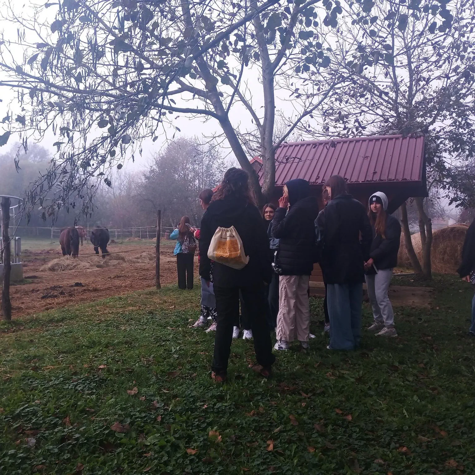 GIMNAZIJA JOSIPA SLAVENSKOG Susret s prijateljima iz Zamościa Razgovori o mekim vještinama i europskim temama (7)