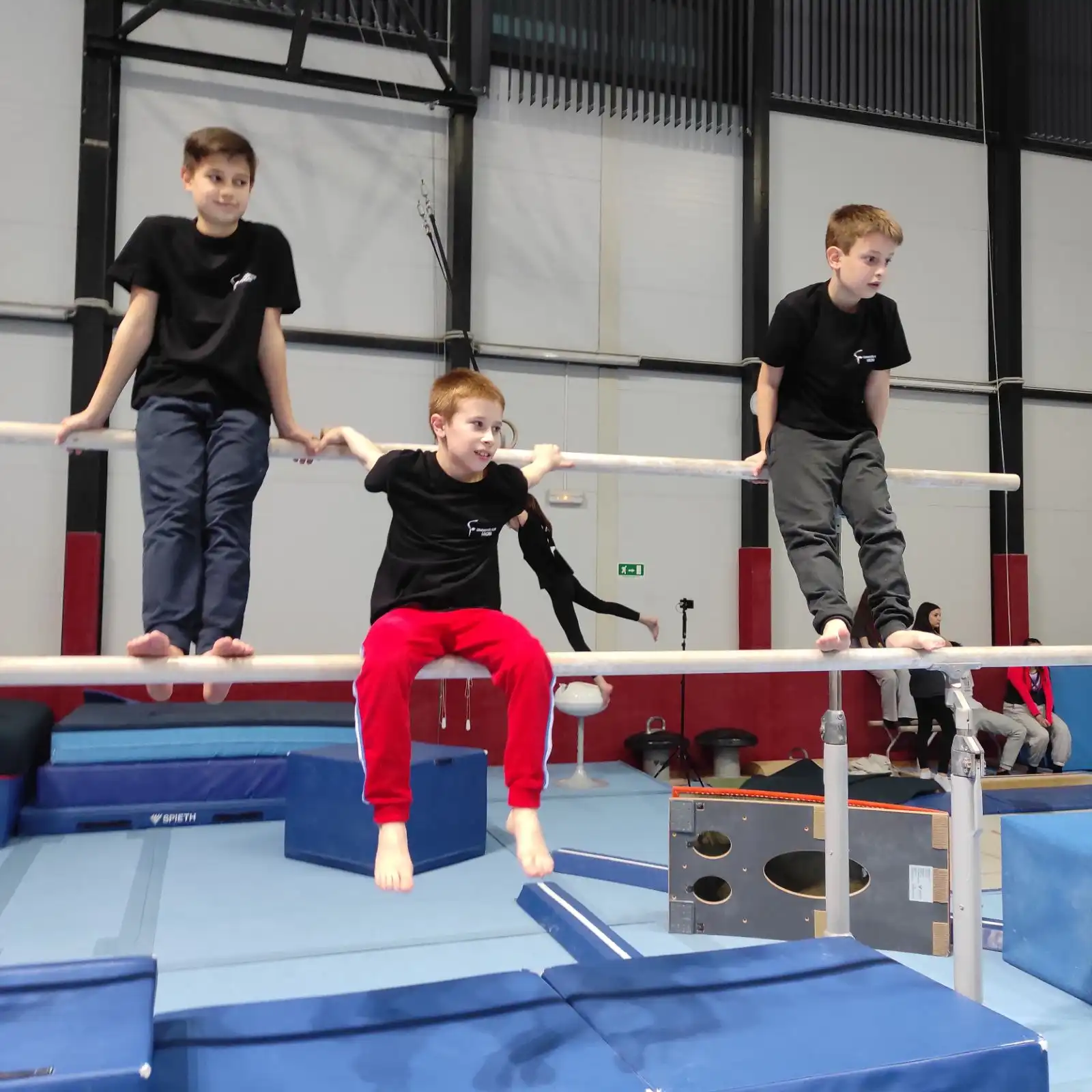 GK Macan – Trešnjić parkour (12) GK Macan – Trešnjić parkour (12)