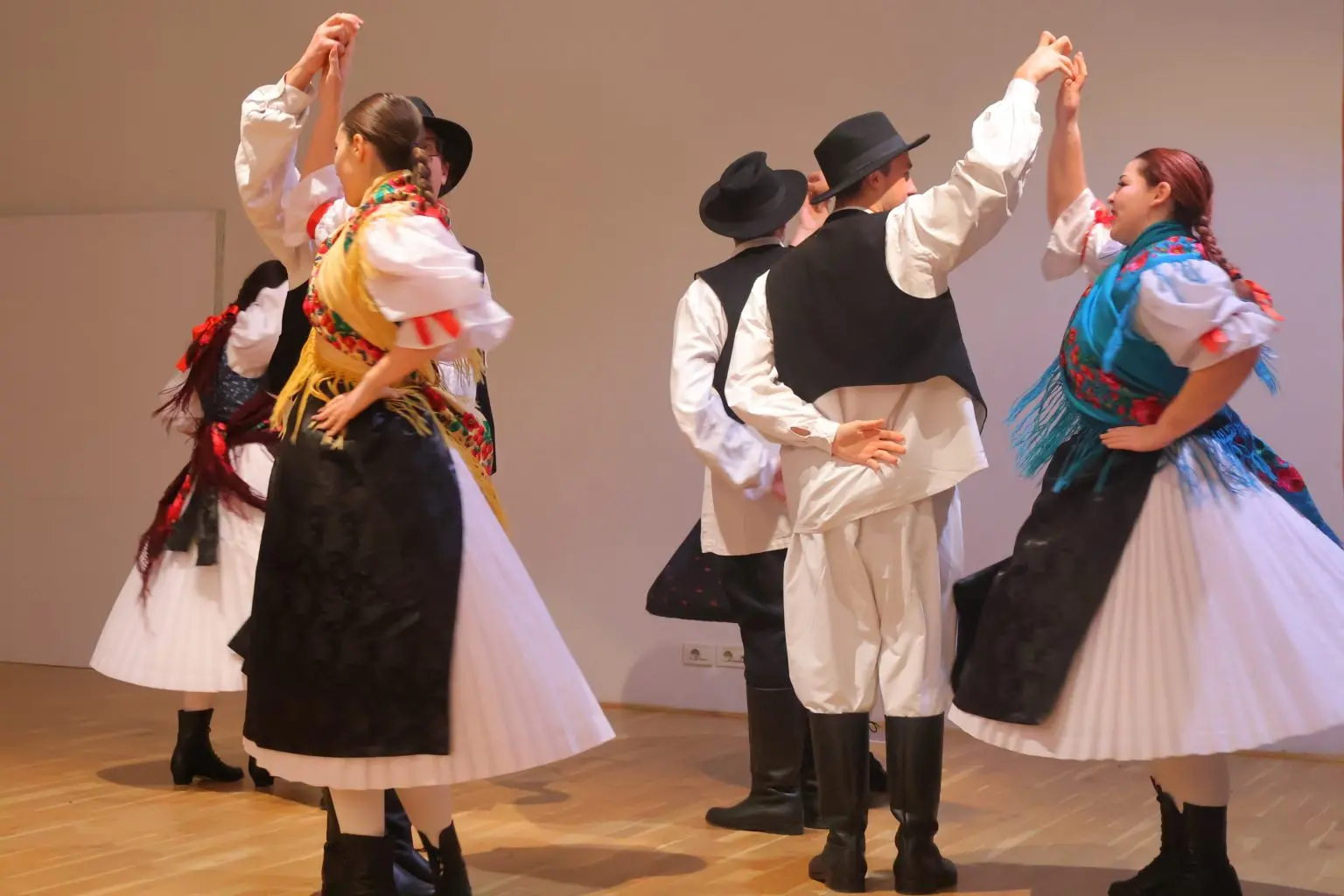 GLJIVARI SMRČAK (16) GLJIVARI SMRČAK (16)