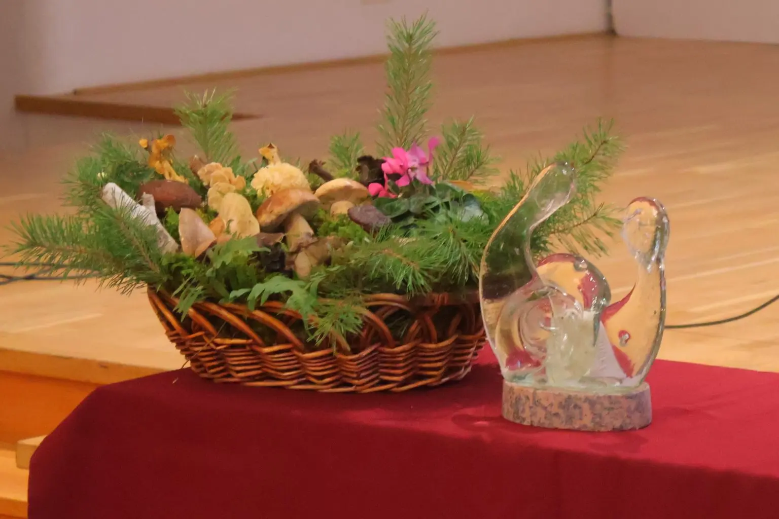 GLJIVARI SMRČAK (23) GLJIVARI SMRČAK (23)