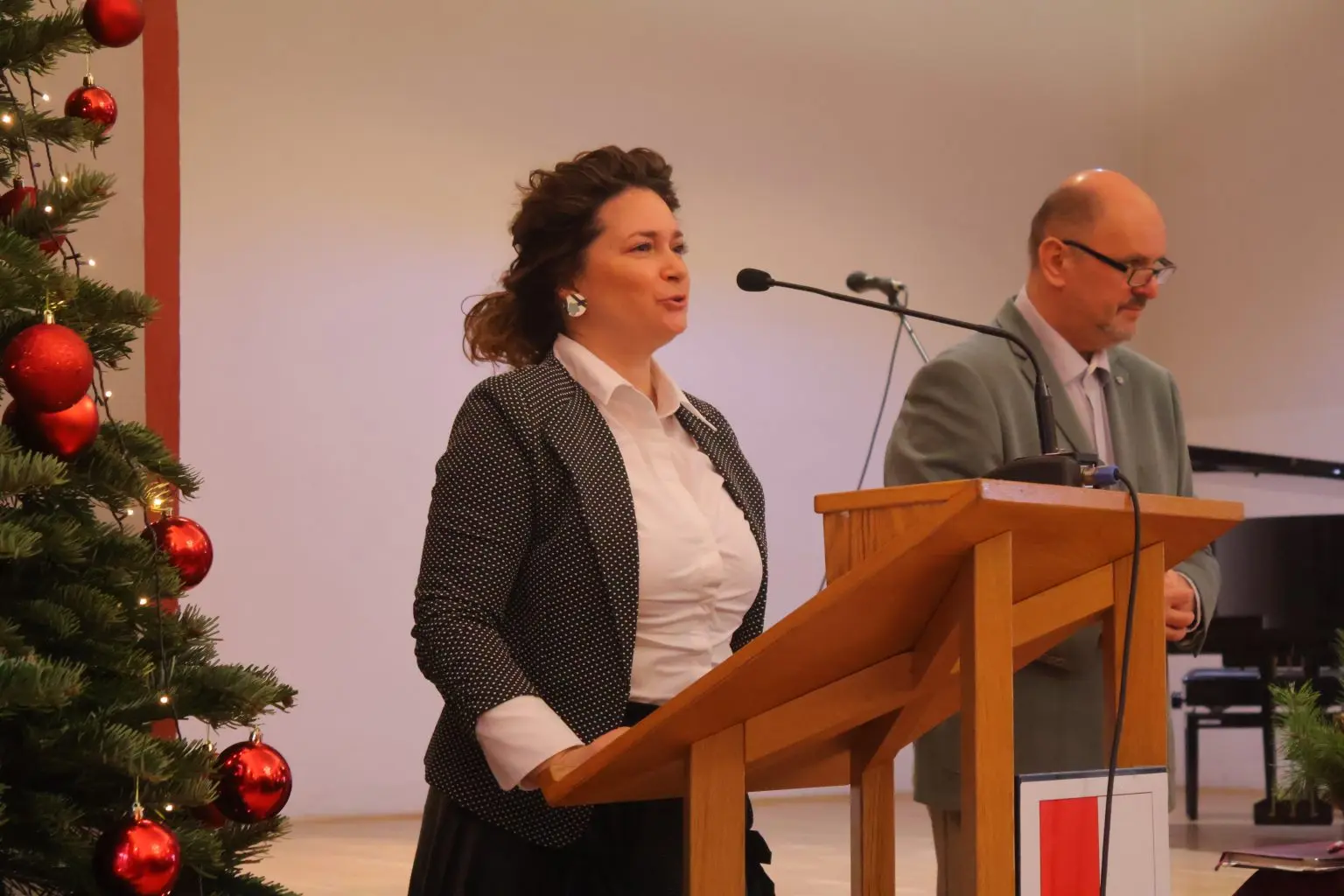 GLJIVARI SMRČAK (26) GLJIVARI SMRČAK (26)