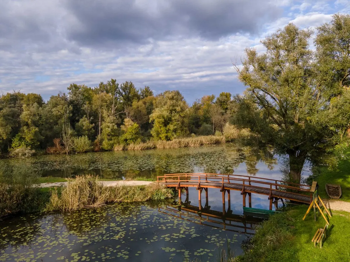 GODIŠNJI SEMINAR ČUVARA PRIRODE (13) GODIŠNJI SEMINAR ČUVARA PRIRODE (13)