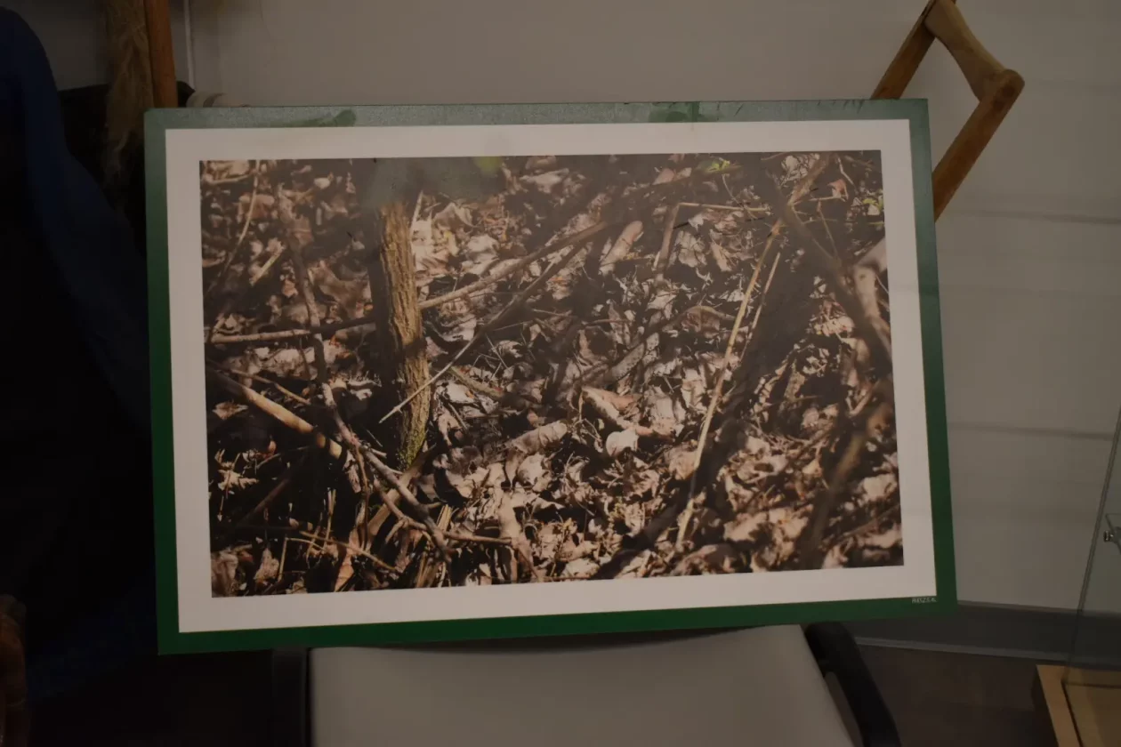 GORIČAN Izložba Josip Horvat Majzek – Etno (3)