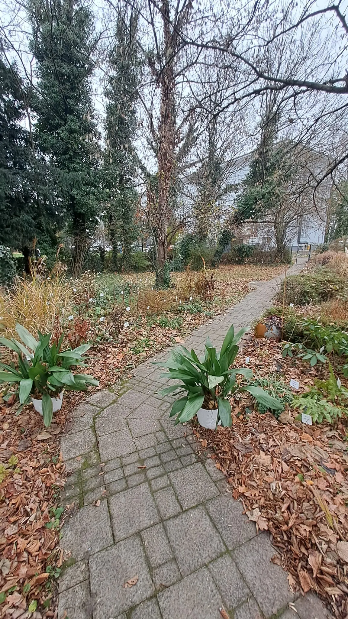 GOSPODARSKA ŠKOLA ČAKOVEC AGRONOMIJA (7)