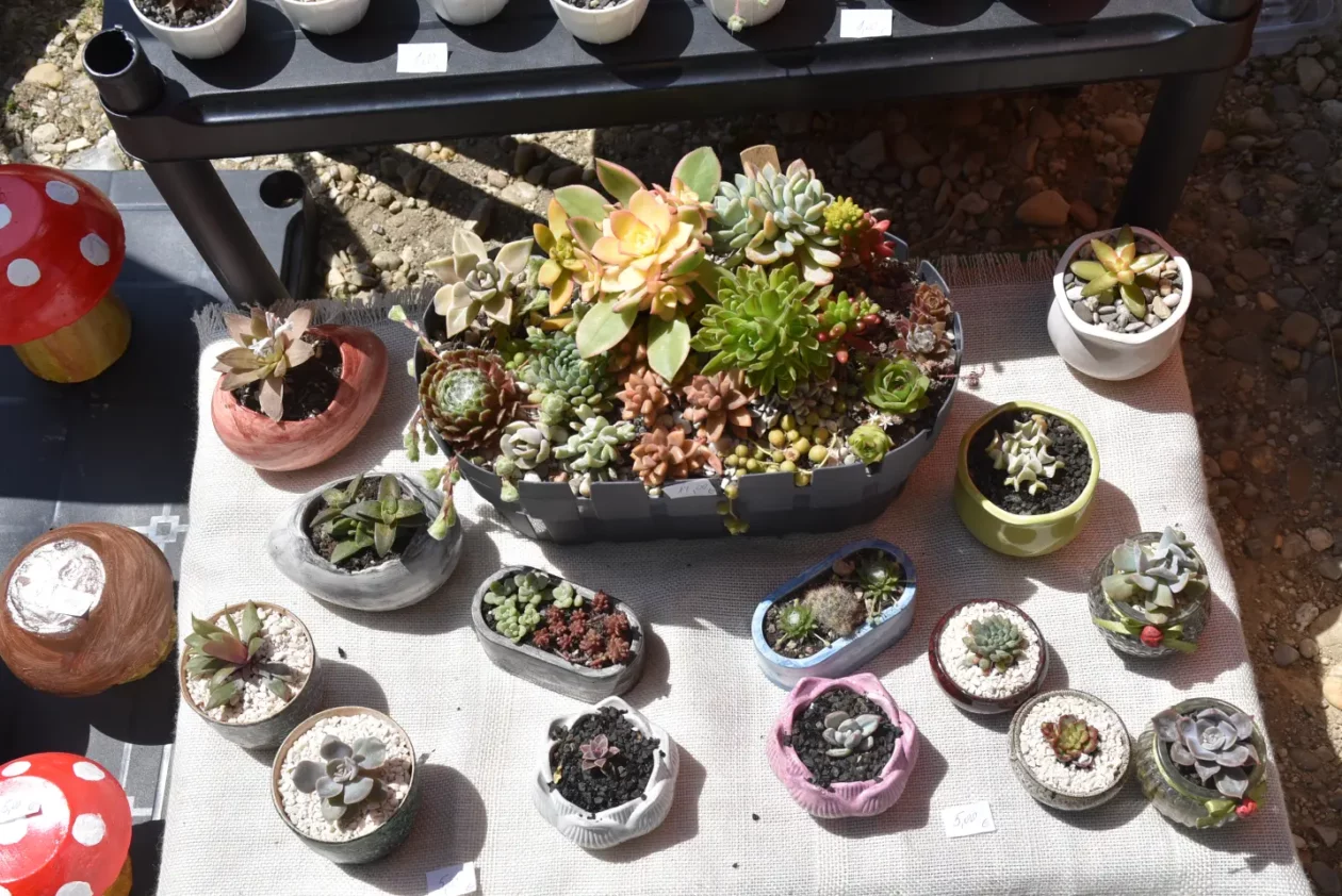 GRahijada, Sveti Martin na Muri (34)