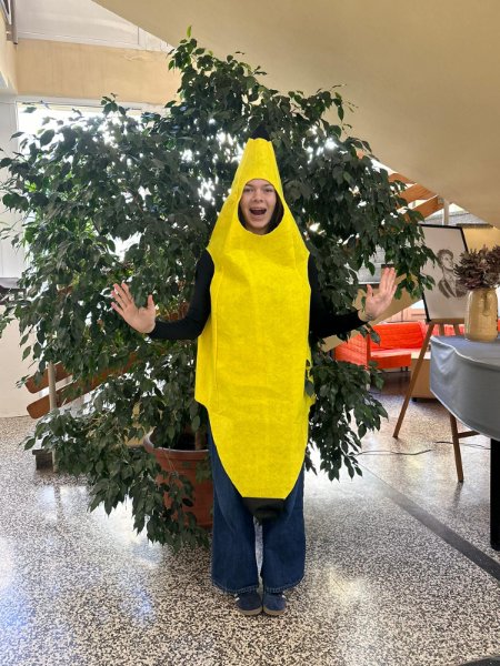 Gimnazija Josipa Slavenskog Čakovec fašnik (17)