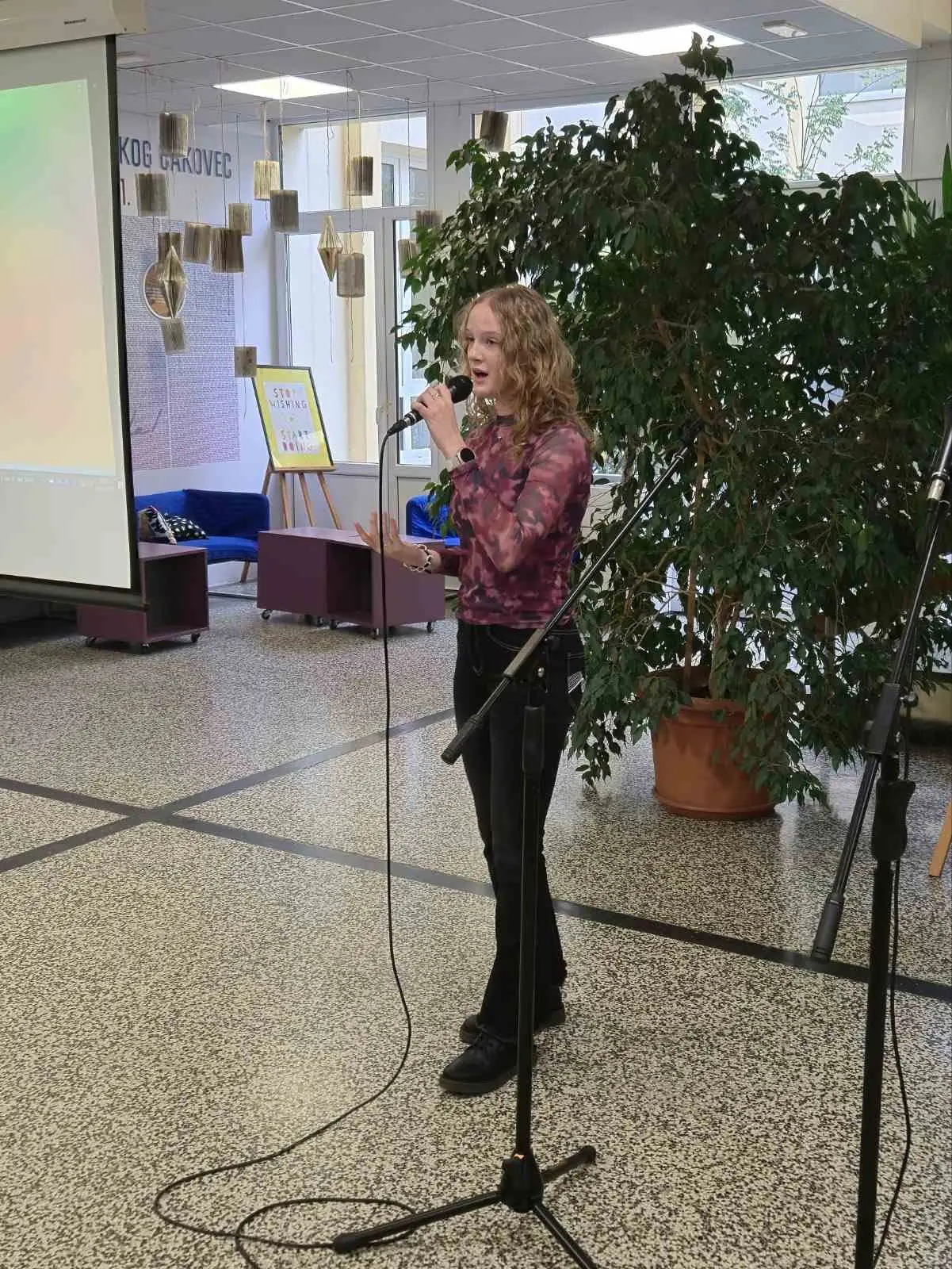 Gimnazija Josipa Slavenskog Čakovec karaoke 3