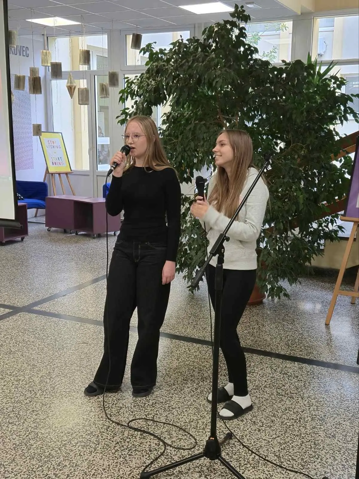 Gimnazija Josipa Slavenskog Čakovec karaoke 8