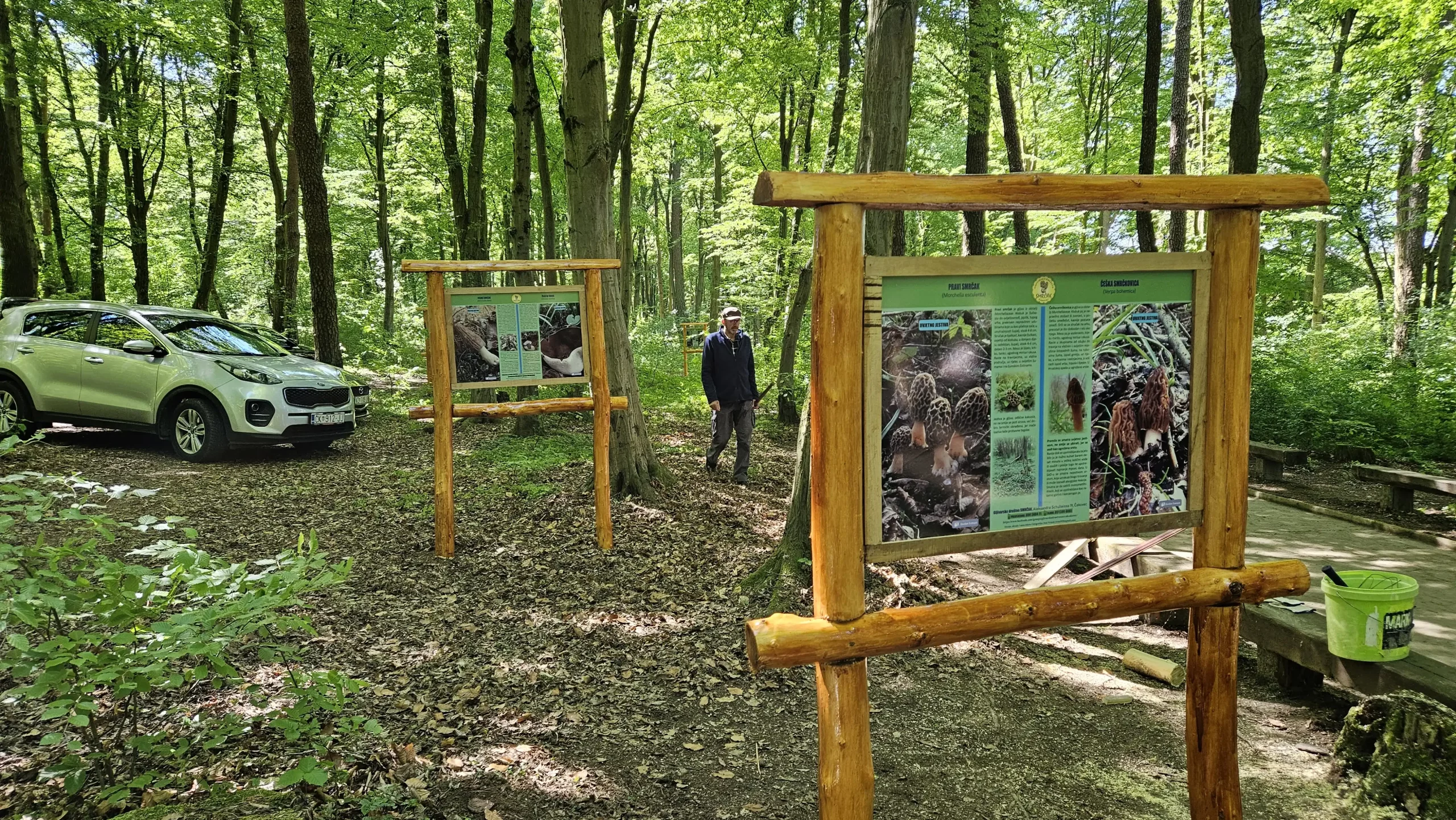 Gljivarska poučna staza (10)