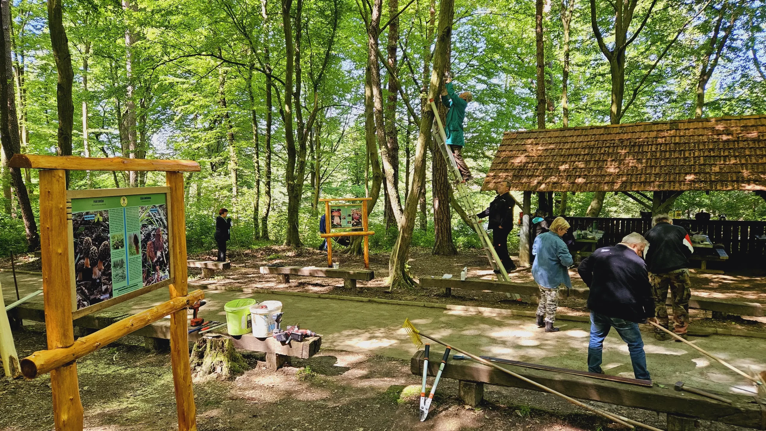 Gljivarska poučna staza (3)