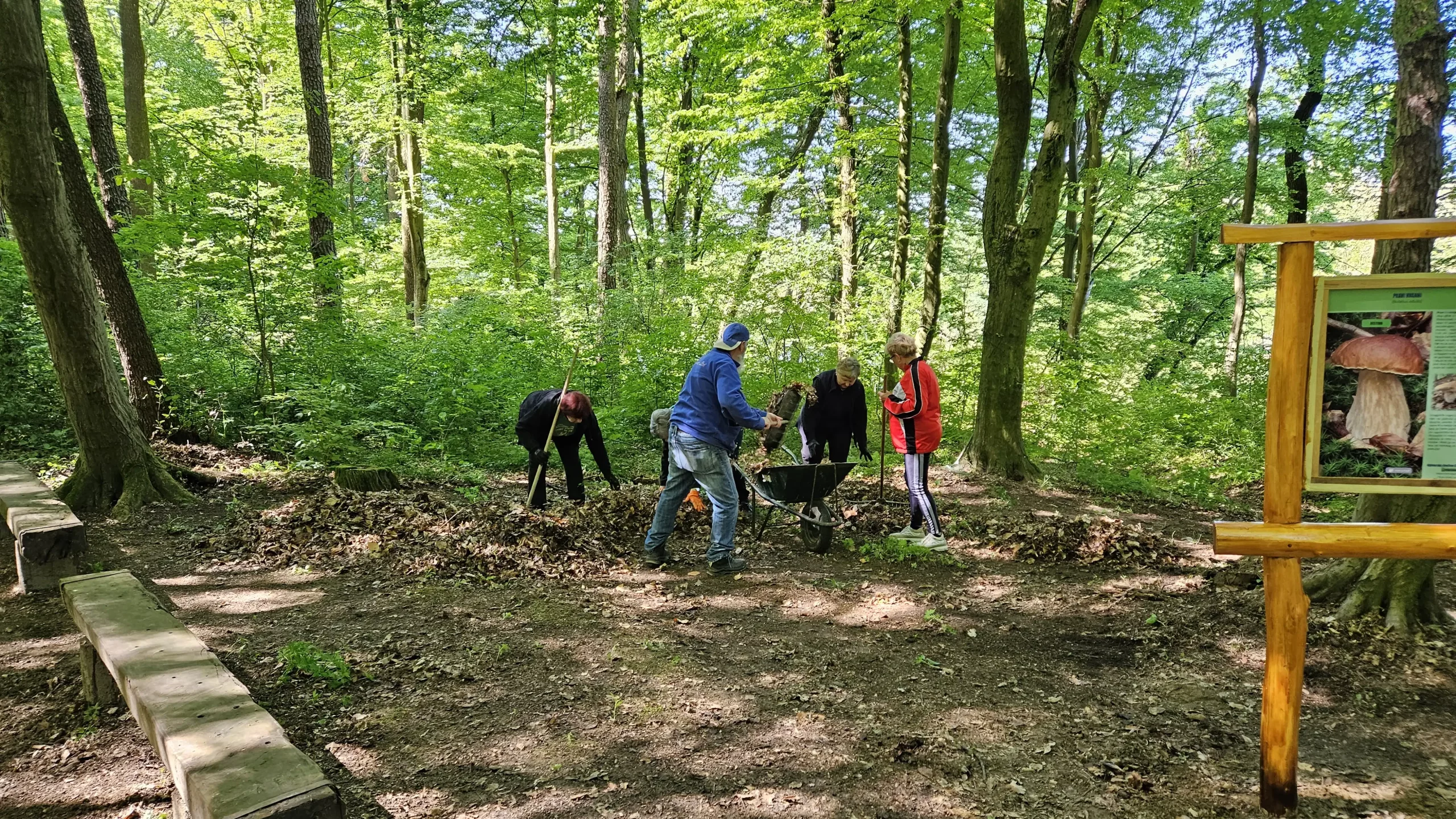 Gljivarska poučna staza (5)