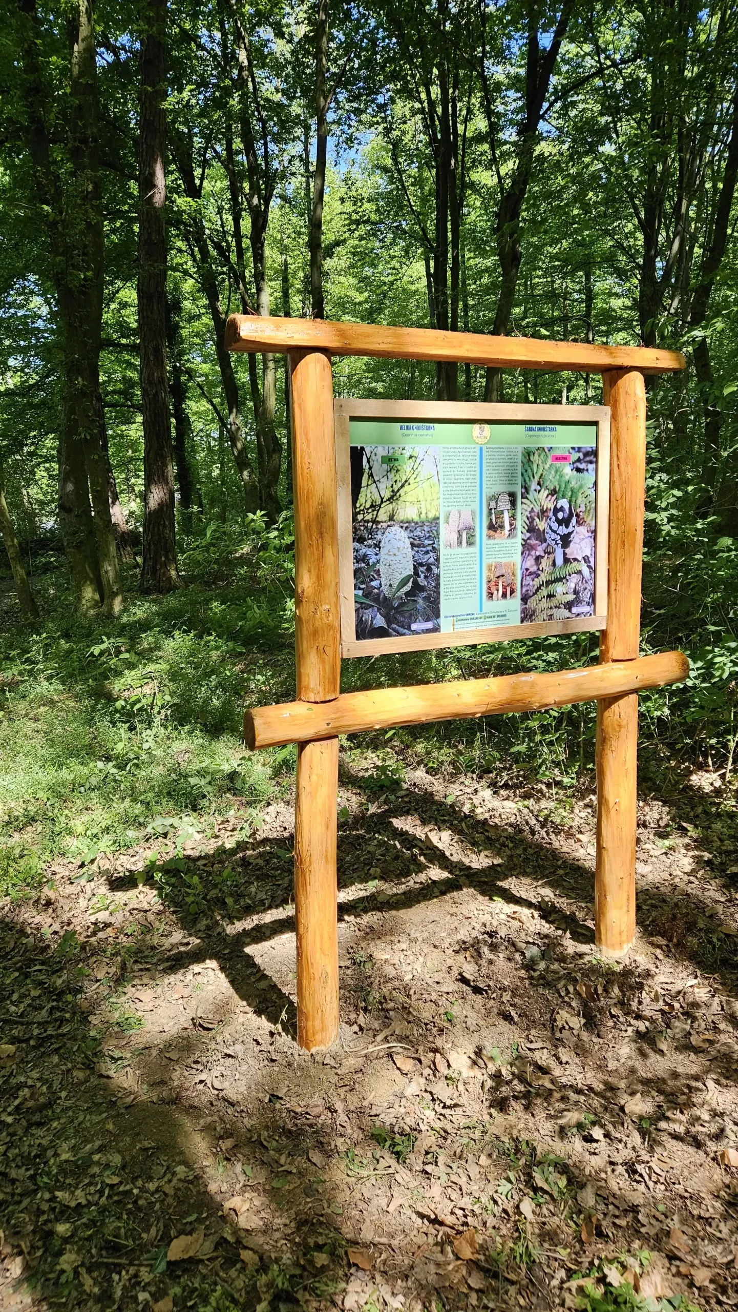 Gljivarska poučna staza (7)