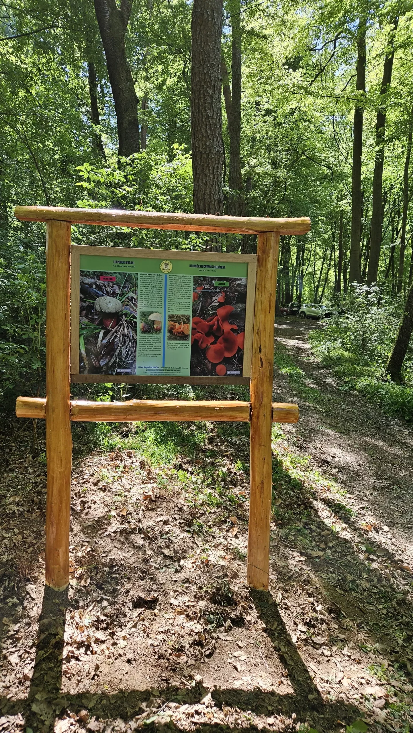 Gljivarska poučna staza (8)