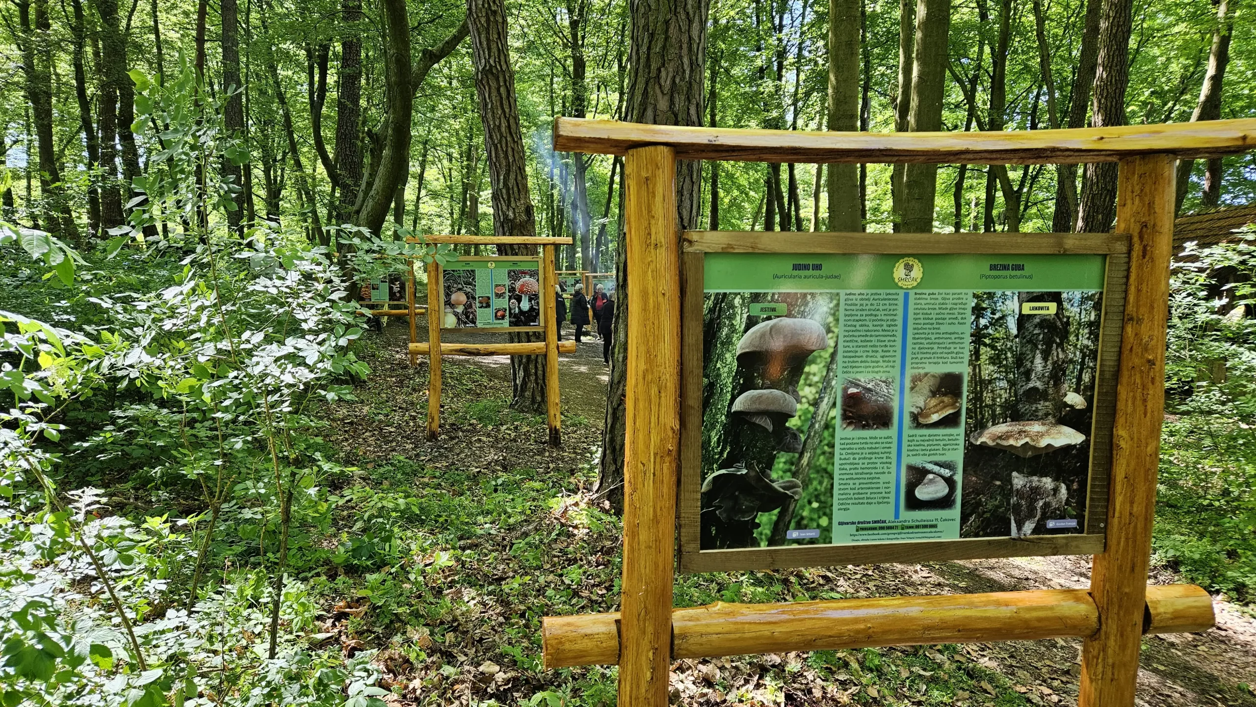 Gljivarska poučna staza (9)