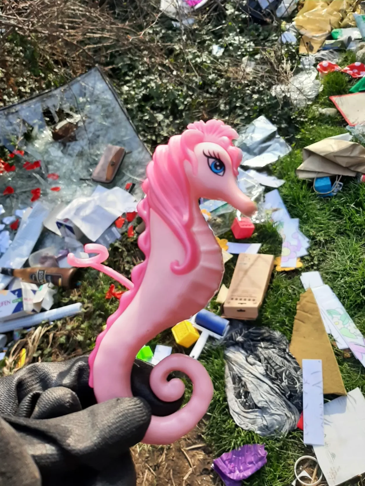 Gljivarsko društvo Smrčak (5) Gljivarsko društvo Smrčak (5)