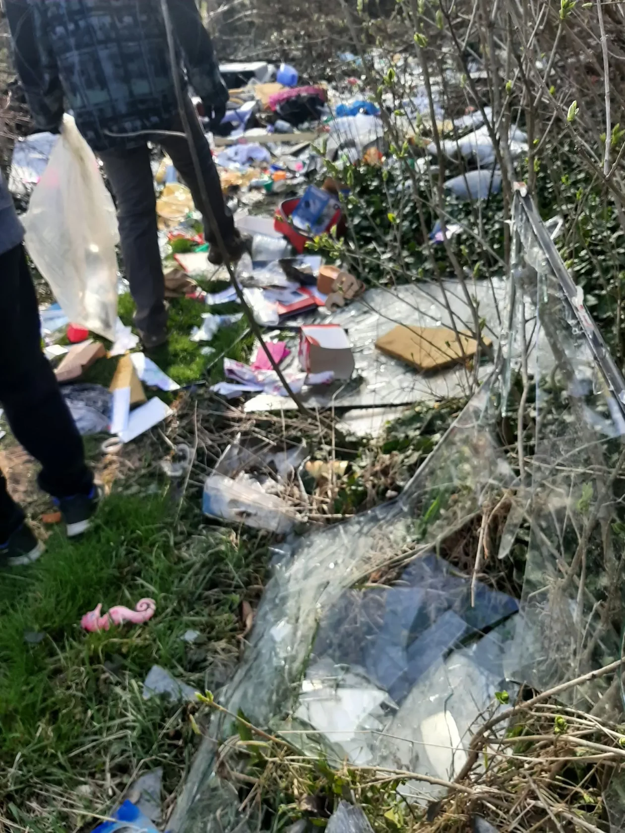 Gljivarsko društvo Smrčak (8) Gljivarsko društvo Smrčak (8)