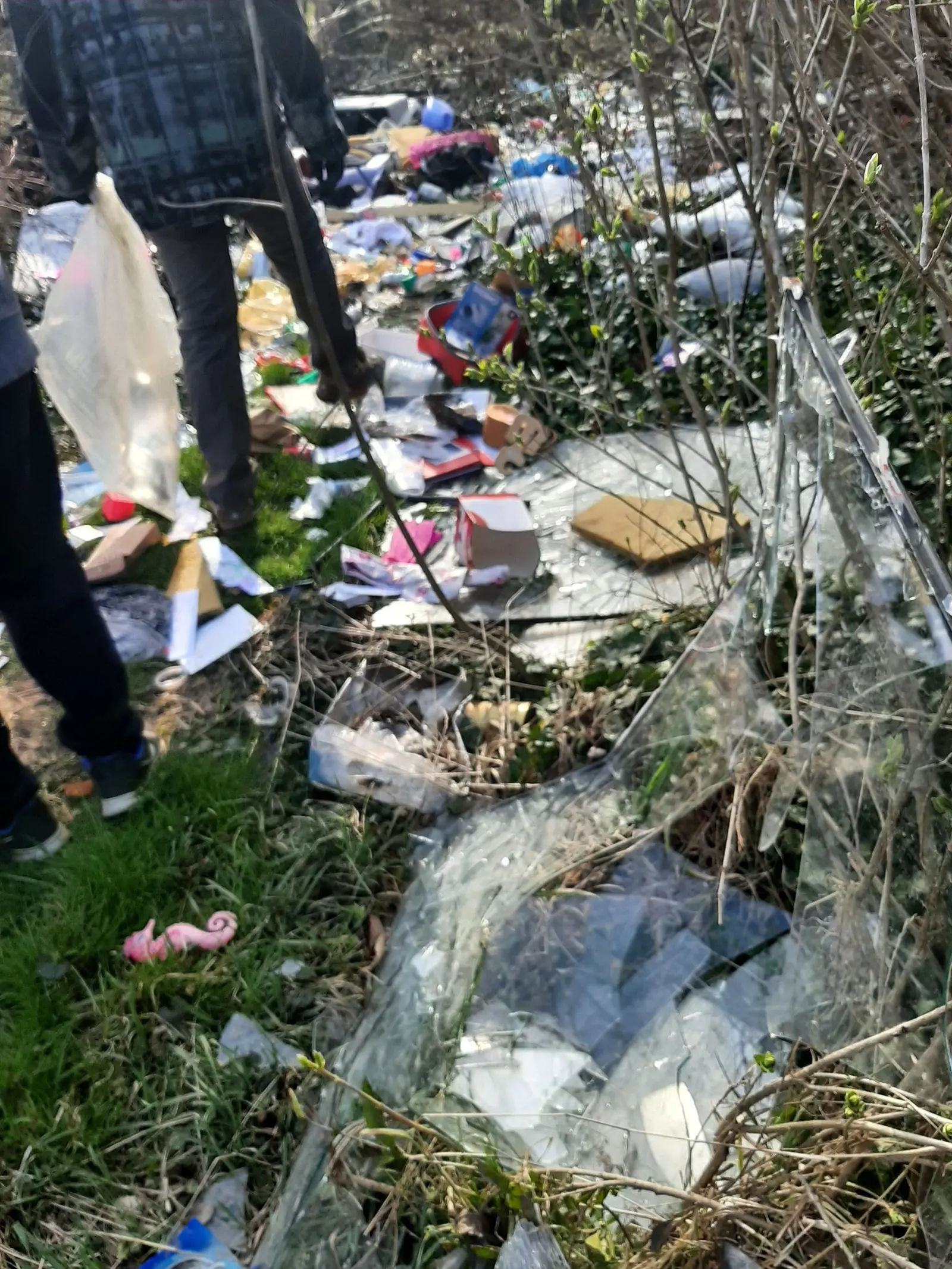 Gljivarsko društvo Smrčak (8)