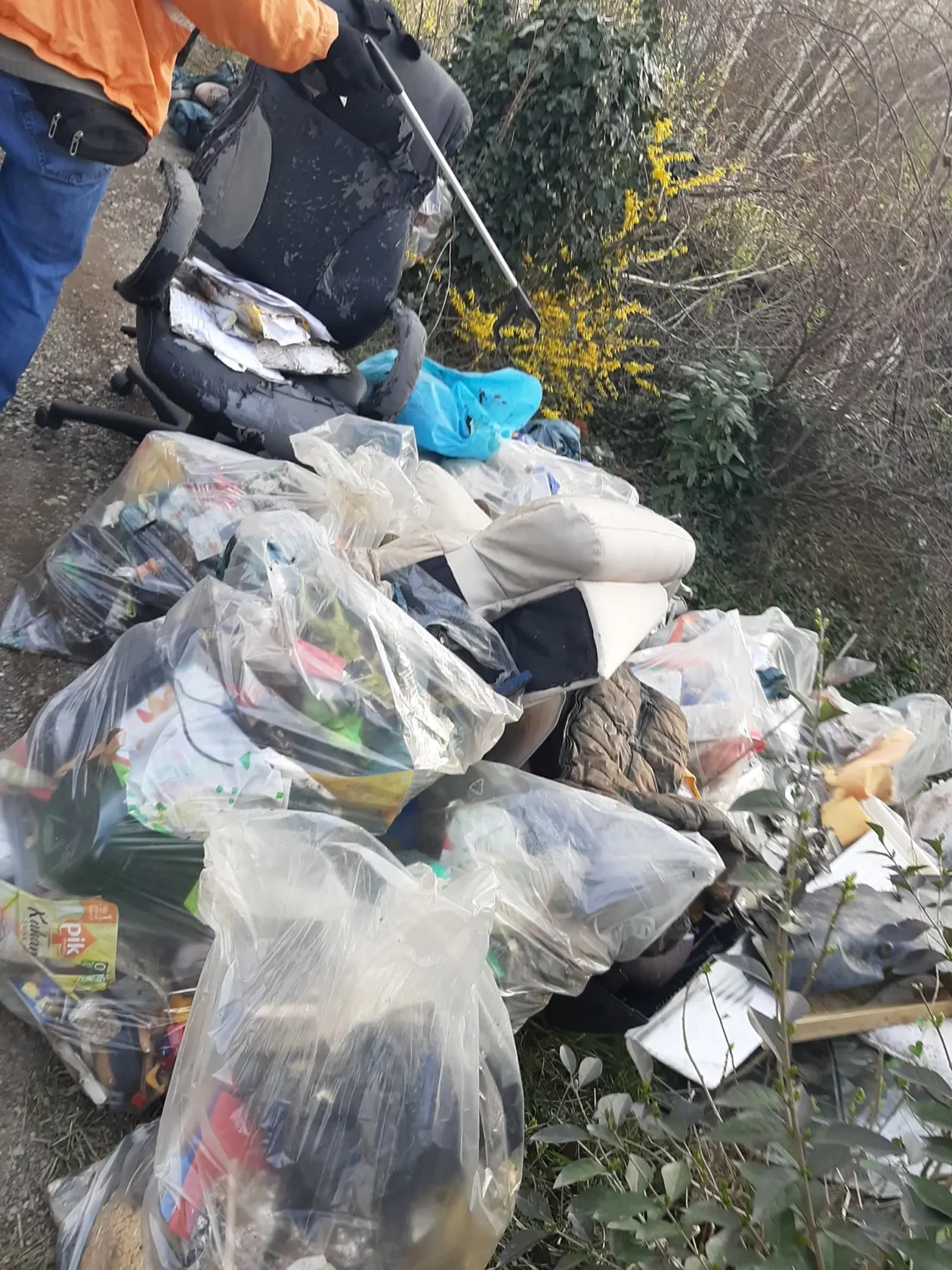 Gljivarsko društvo Smrčak (9) Gljivarsko društvo Smrčak (9)