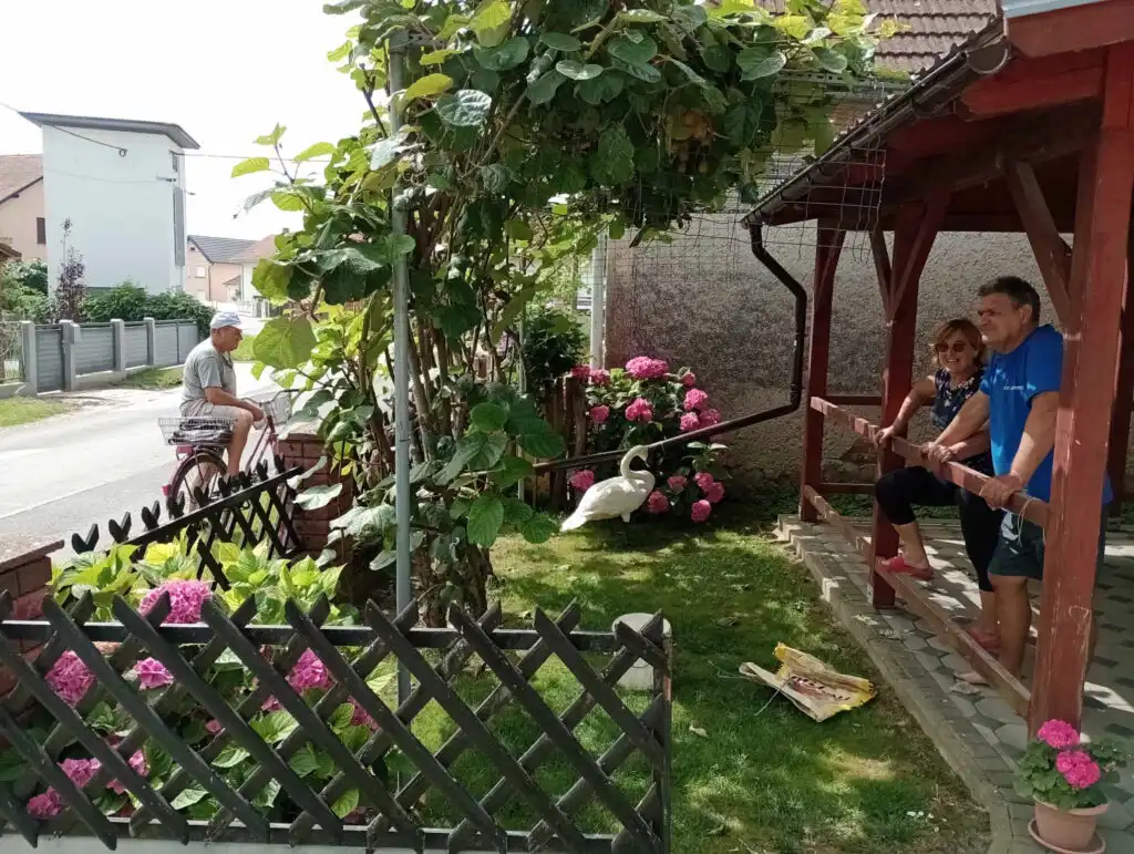 Goričan – labud (3)