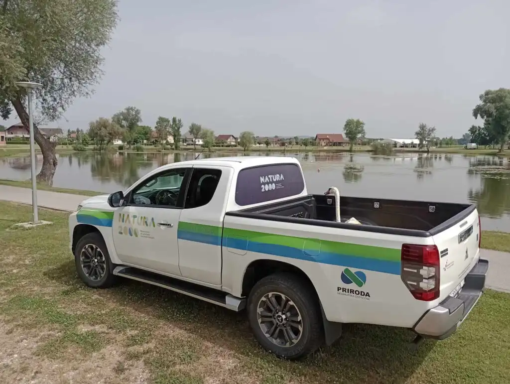 Goričan – labud (4)