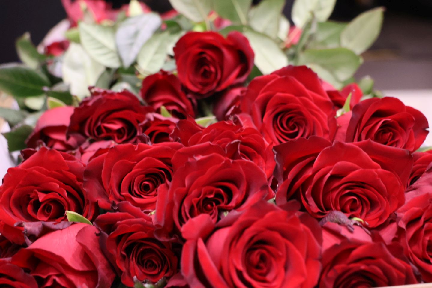 Gornja Dubrava 50 i 60 godina parovi MUMŽ (6)